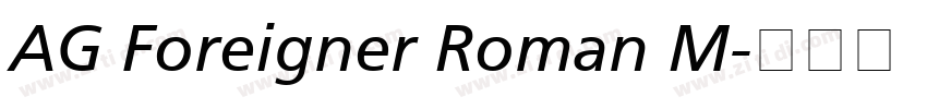 AG Foreigner Roman M字体转换